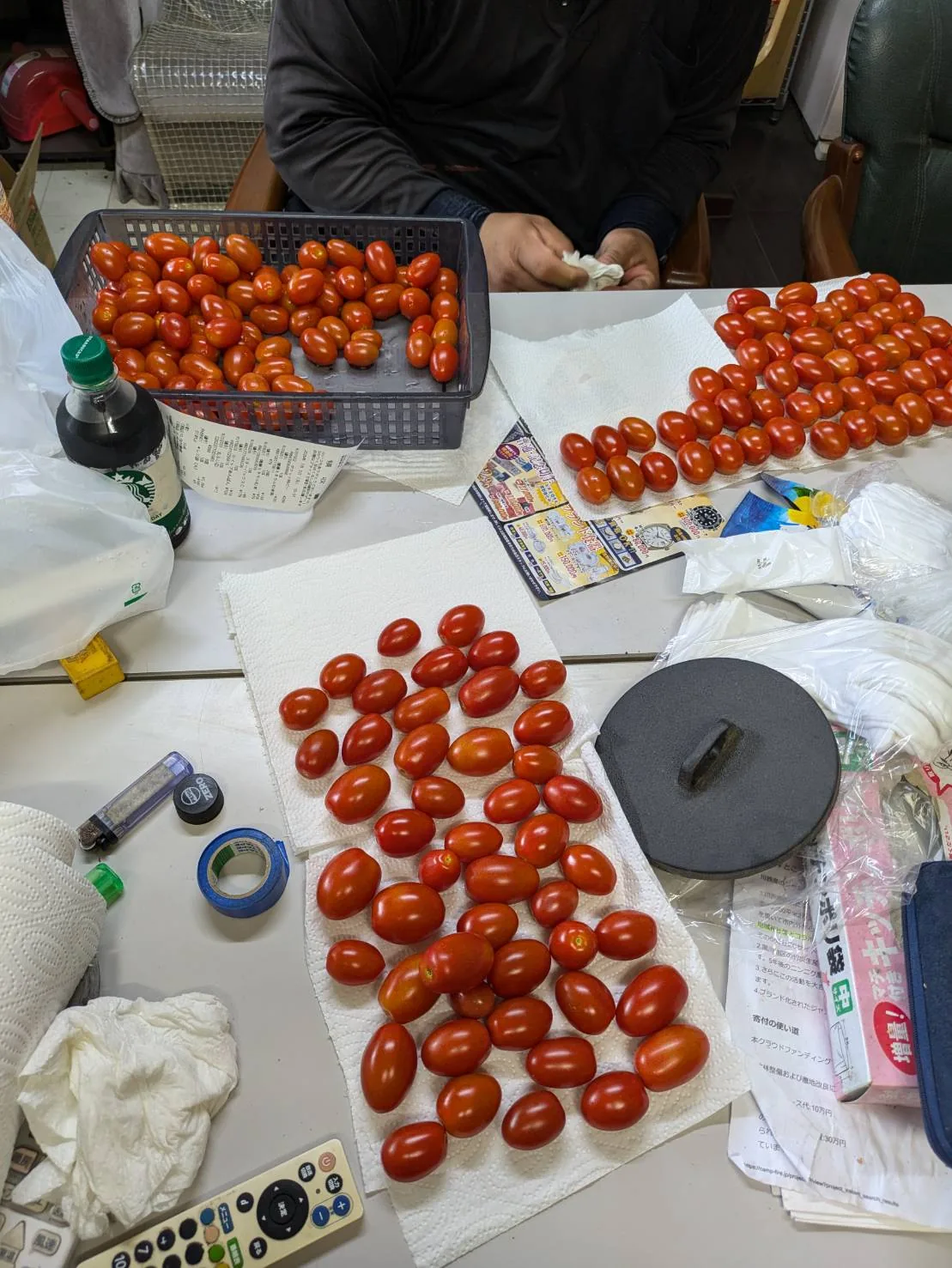 収穫したミニトマトを選別している作業