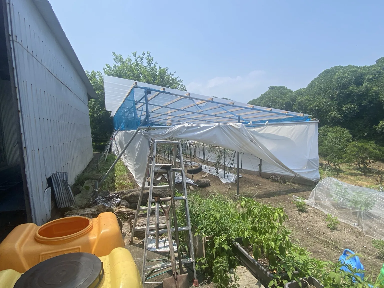 就労継続支援B型の作業場所として準備中の畑とハウス